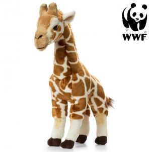 Giraf - WWF (Verdensnaturfonden)