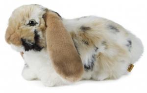 Kanin dværgvædder  - Keycraft Living Nature