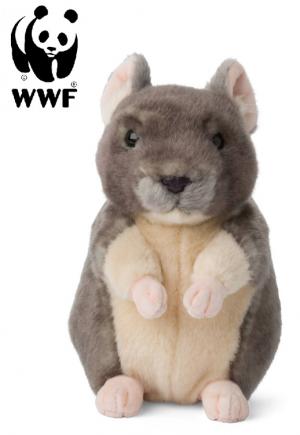 Chinchilla - WWF (Verdensnaturfonden)