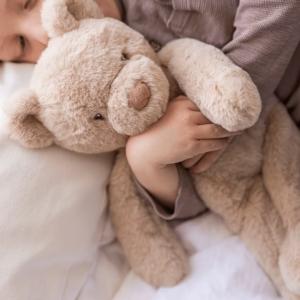 Teddy Care Vægtet Dyr