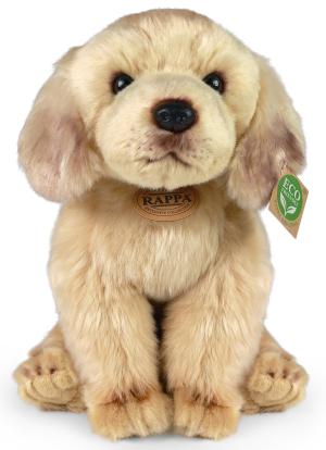 Labrador